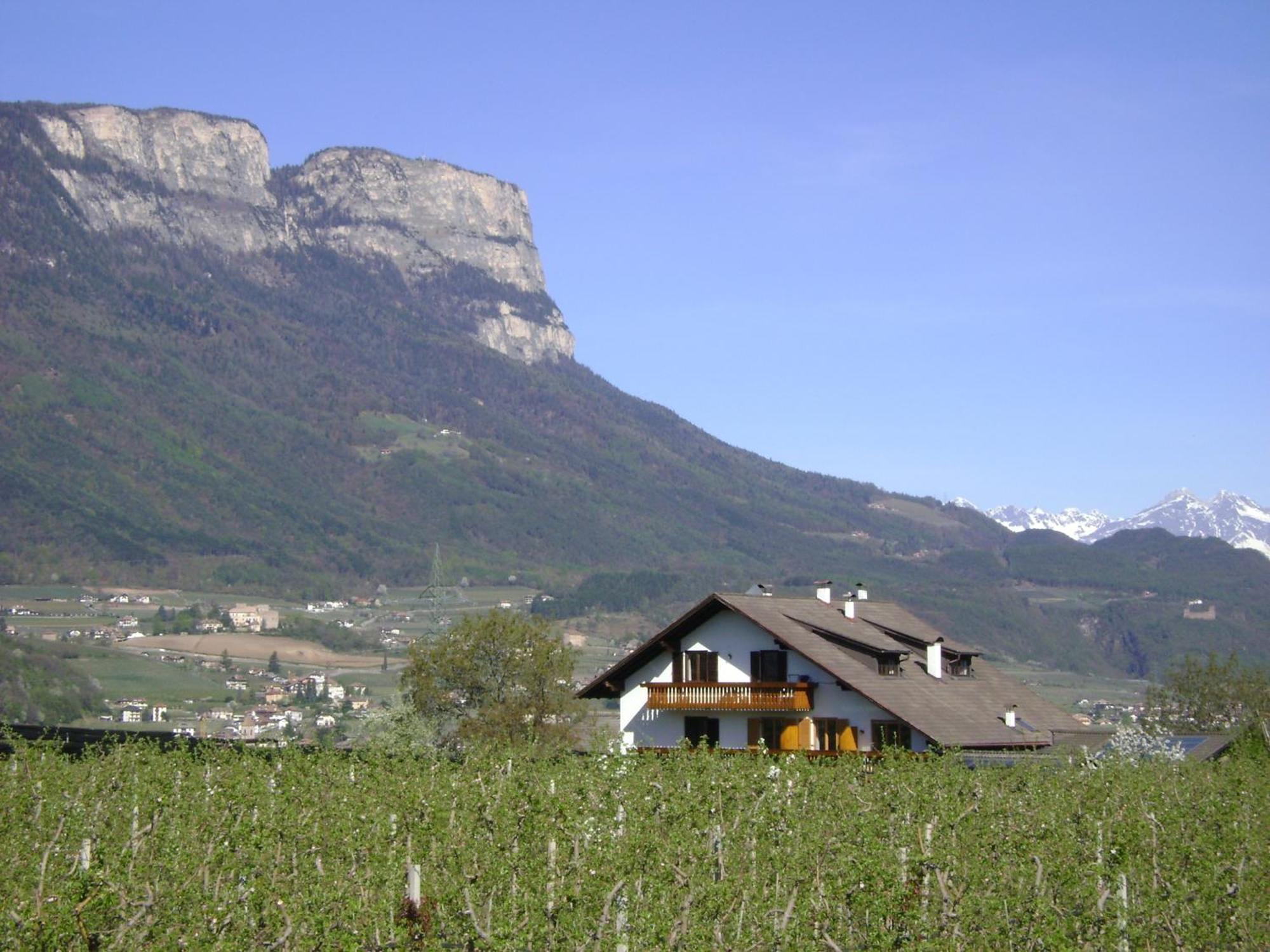 Appartements Weisshauserhof Eppan an der Weinstraße Eksteriør billede